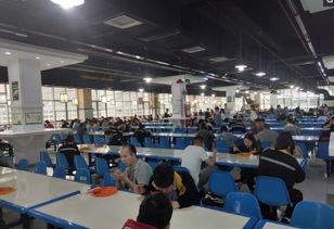 深圳職場陷阱實錄 黑中介、黑工廠、黑工與黑房東